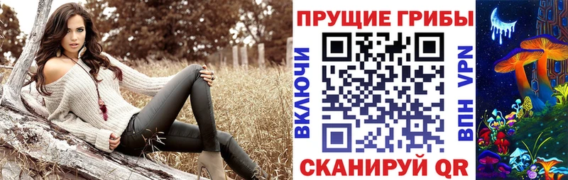 Псилоцибиновые грибы Magic Shrooms  Ельня 